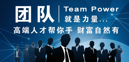 专家团队
